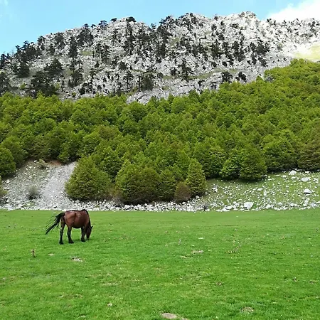 Esperanca Frascineto