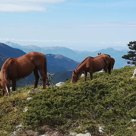 Esperanca Bed & Breakfast Frascineto