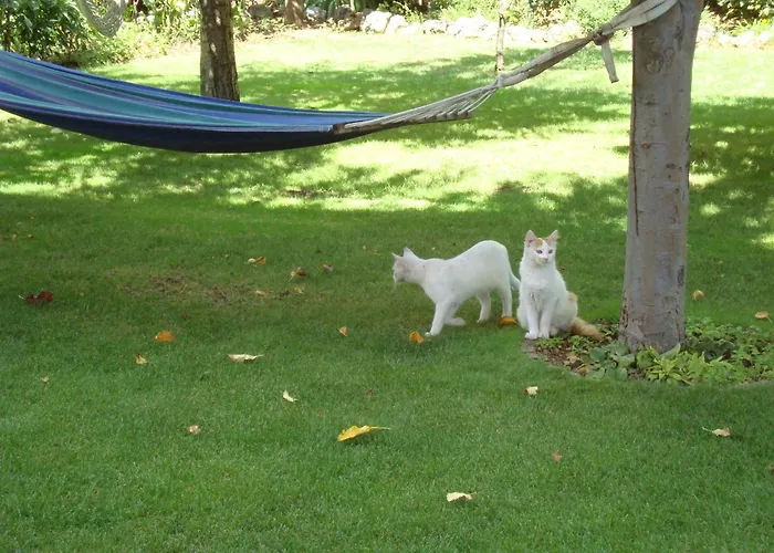 Alojamento de Acomodação e Pequeno-almoço Esperança 3*