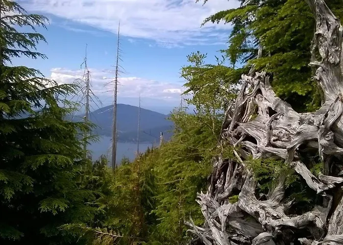 Alojamento de Acomodação e Pequeno-almoço Esperança