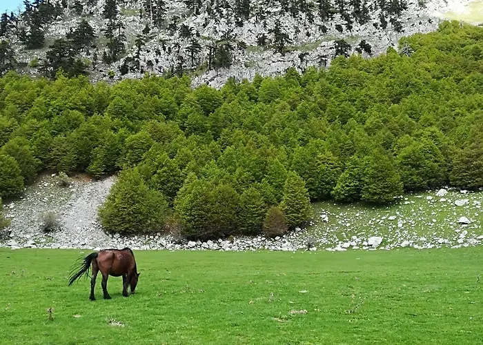 Esperança Frascineto