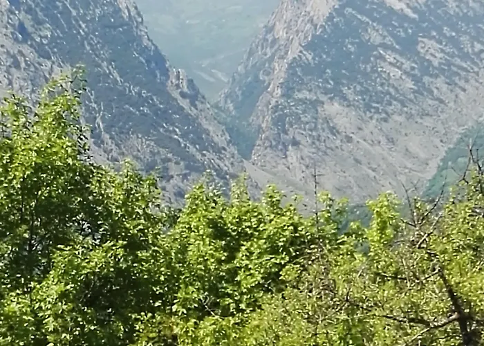 Alojamento de Acomodação e Pequeno-almoço Esperança 3*