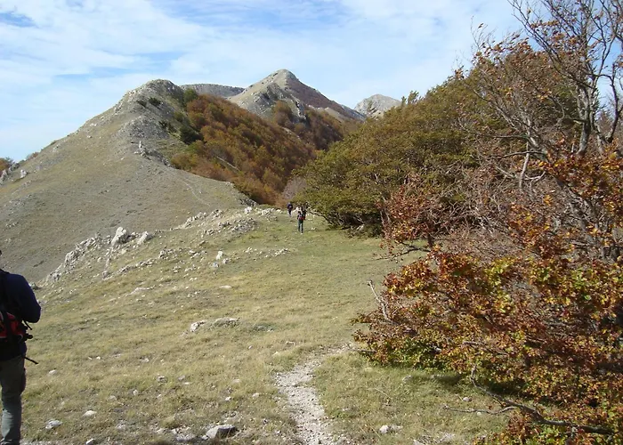 Alojamento de Acomodação e Pequeno-almoço Esperança
